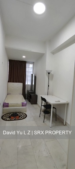 Balestier Plaza (D12), Apartment #488138381
